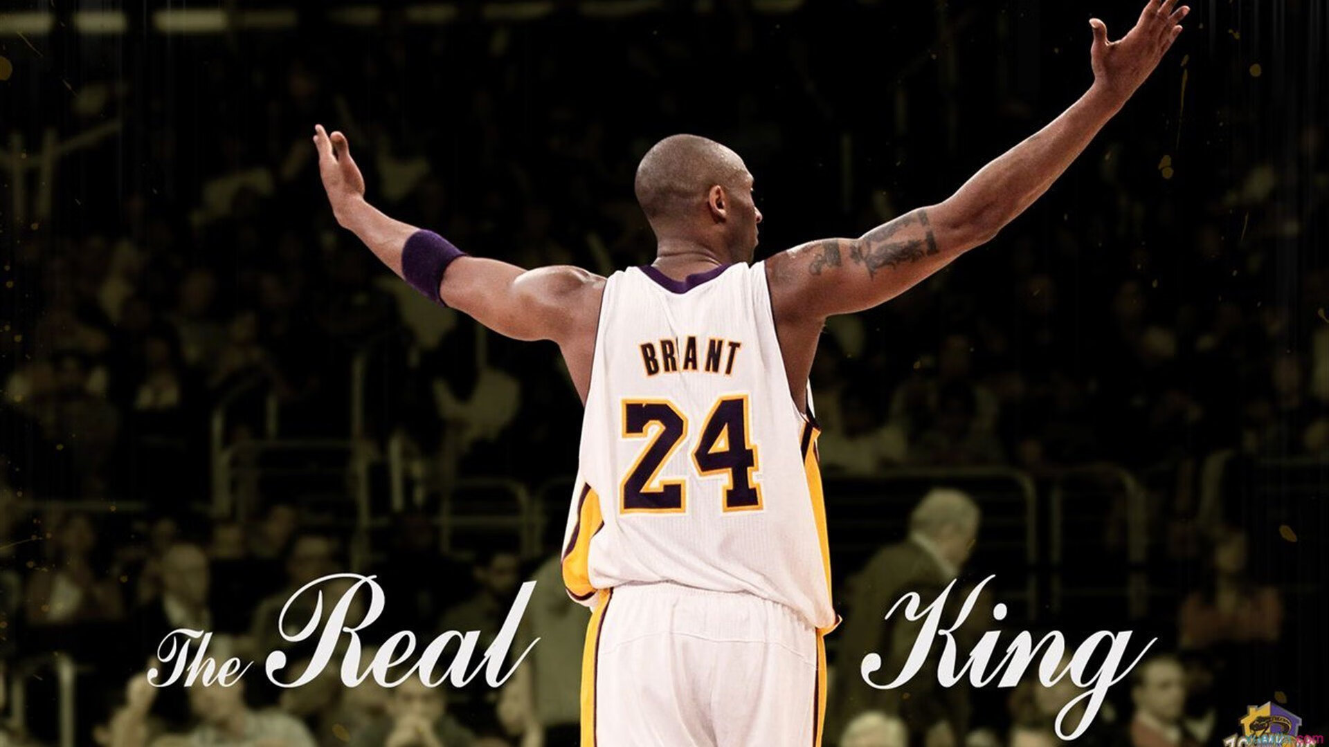 开云在线直播-奥地利红环的齿轮崩坏之夜，佩雷兹驾黑翼刺破银箭不败神话